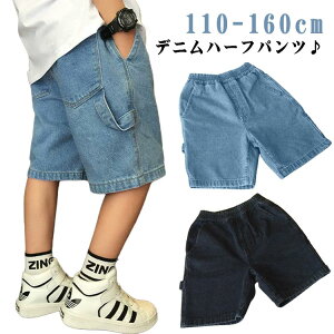 n[tpc W[Y Z 120 j q WjA Zp  LbY V[c j̎q Y{ {gX  qp  fj ǂ fjn[tpc Gp JWA