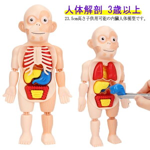 l̉U l̖͌^ p[cO l̃f mߋ LbY [  ~j ؓ q 18s[X gݗ  23.5cm 3Έȏ ~j i ͌^ Ȋw  ͌^ X}[g{gCY 