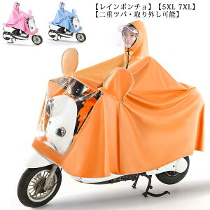 CR[g ] C|` CEFA bN fB[X Y ʋ ʊw jp Jbp H J |`  oCN t Lv 傫TCY 䕗 h Ob