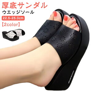 T_  EGbW\[ T{T_ fB[X xg r[`T_ T_ y ɂ  t ubN zCg rT_ ₷ 22.5-25.0cm  