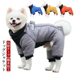 H h h n[lX̌^ ˃e[v EȒP  IV S 4g ȓ ߃}WbNe[v ̕ h  h΍ WPbg g  hbOW