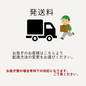 お急ぎのお客様専用　配達方法変更
