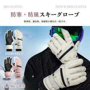 スキー手袋 スキー グローブ スキーグローブ スノーボード スノボー スノボ 手袋 グローブ レディース メンズ バイクグローブ スノーボードグローブ 防寒 防風 ウィンタースポーツ 防水 ス