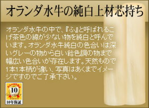 pZbg蒤聟J^ۏؕt@13.5mmEs12.0mm@I_̏ސcysmtb-TDzytohokuz