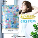 【日本製/公式】 ラクビプレミアム Lakubi Premium 機能性表示食品 酪酸菌 ビフィズス菌 乳酸菌 善玉菌 悪玉菌 体内フローラ 菌活 腸活 サプリ ダイエット・健康 サプリメント プロバイオティクス マルチプロバイオティック