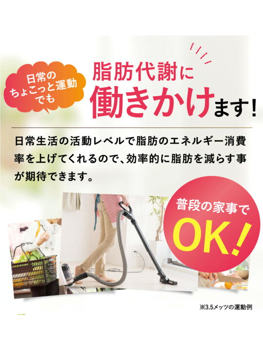 楽天市場】【期間限定15%OFFクーポン】【公式】フラボス FLAVOS 