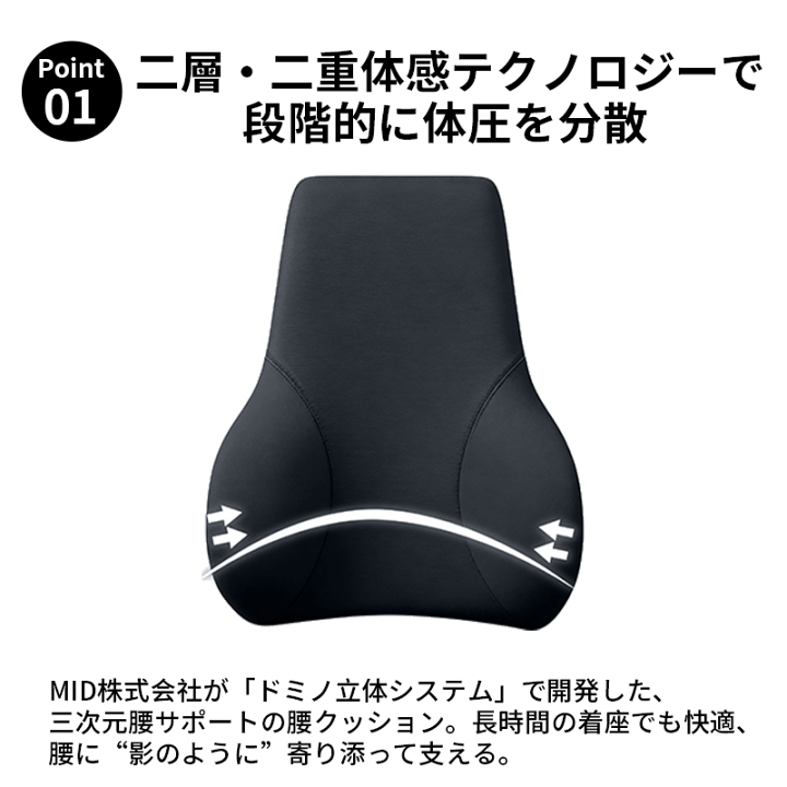 楽天市場】【P5倍+最大1000円OFFクーポン配布】腰クッション ランバー