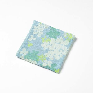 ^I EHbV^I nh^I ~j^I 4dK[[^I yĂ炩 CgK[[ herbarium ԕ / 34cm×35cm S3F z  ΂Ȃ