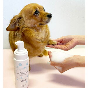 �y�b�g�p�h���C�V�����v�[ �V���N�z�� �A�^�C�v 200ml �􂢗����s�v ���L���p �ȒP�A�V�����v�[