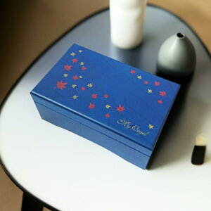 yAA311Bz 23 ؐ BOX IS[ ݂  a v[g Mtg CeA  ؐ LO IS[ jfbN Nidec   ~[ ANZT[P[X a  蕨