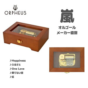 �y�� �I���S�[���z�J�X�^�����C�h �I���S�[��30�� ORPHEUS�i�I���t�F�E�X�j ���{�� �V�� �ؐ� �u���E�� �󒍐��Y �{�i �����yEX154I�z ���������� ���������F �C���e���A�ɉf���� ��l�ւ̑���