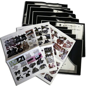 ^ ^̃pct^LV[h/EGfBOhX tł you tubeł܂BdbT|[g10t ysv͔̕zz^␳/AWӊOɊ