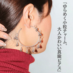 y[OKzOO[tt[vsAX ^J Vo[ Vv Ԃ t[vsAX sAX AeB[N [h v[g Mtg i uX brass Ch jAX l fB[