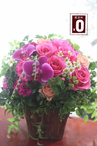 G߂̉ԂgCAWgyzy̓zyt[AWg@MtgzyNX}XzyX^CbVzyԁ@Mtg@azyԂ𑡂z