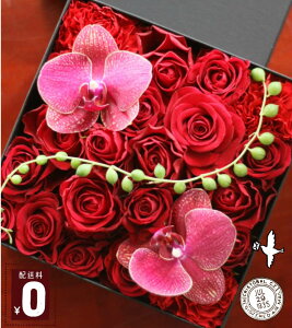 jA[̂C{bNXt[@LTCY@y̓zyt[AWg@Mtgzyt[@MtgzyX^CbVzyazyԂ𑡂z