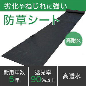 hV[g ieTCYjGV[g h s V[g e[v V[g K[fjO  c  G΍ G} Ȃ  h  ԏ rj[nEX lH ~ ͐