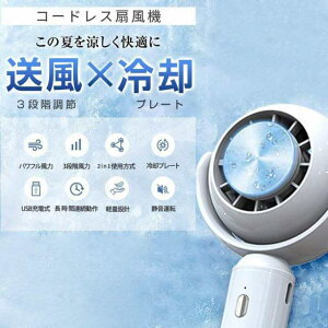 @ nfB ^@ nfBt@ @ ×pv[g |[^u 莝 |  nfBt@  莝 dr ~j  usb ȃGl É  y ^ 