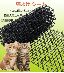 Œpst L悯V[g LV[gƂ}bg L悯 ˂悯 V[g L悯ObY L悯΍ ǔL΍ QbELNh~΍ L悯V[g EEv^[̒悯 