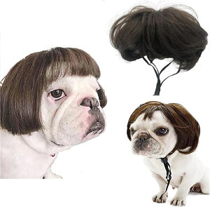 ybgEBbO 蕨  L ybgpXq  ʔ p RXv Xq ^ ^ ^ ϑObY ybg nEB NX}X a p[eB[ ObY Be