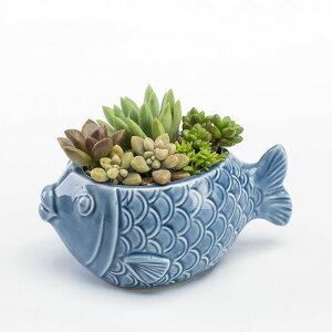 CmA  Aؔ  픫 ϗtA    킢̌~ LkAؔ  x_ qԂ̍ŗDG