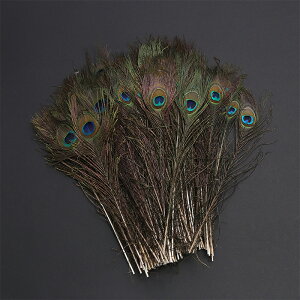 H E 10{ p  25-30cm tFU[ p[c | ANZT[ H H ANZT Ntg EFfBOu[P t[AWg Ĥ鐶