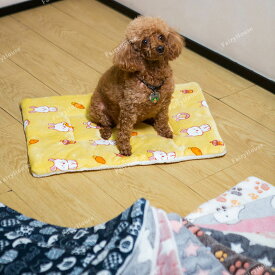 【送料無料】ブロックファー敷パッド マット 両面 ペット用 クッション 寒さ対策 子犬 洗濯 犬 イヌ 猫 毛布 ブランケット キャリー ステイマット カート ねこ ネコ 猫 猫用