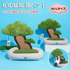 y6%OFFN[|z̖~͔L ybgxbh Lxbh ܂Ƃ|[ IV tt  INS lCV IV ˂ ߂Ƃ lR ܂Ƃ|[ ܌ Lpi ybgpi v[