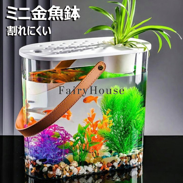 楽天市場】【6%OFFクーポン配布中】金魚鉢 水槽 卓上 透明 すいそう 大 