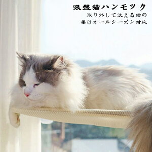 ybgpi zՔLnbN lGLnbN OĐ􂦂L̑ zՎ ۃ}bg ˂ LpnbN LbgnbN Lp ܏ݎLnbN EBhExbh 