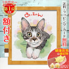 【額縁無料】有名人気絵師おきなか新加入！修正OK＼幸福 金亀 プレゼント／ペット 似顔絵 プレゼント イラスト 絵 額付き 色紙 犬 猫 動物 家族 愛犬 誕生日 遺影 ギフト 人気 お祝い お悔やみ 記念 家族 結婚式 写真 おしゃれ 銭亀 おきなか