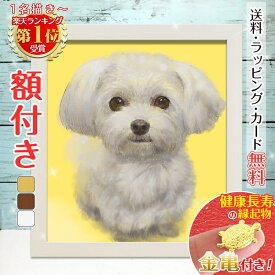 【額縁無料】＼幸福 金亀 プレゼント／ペット 似顔絵 プレゼント イラスト 絵 額付き 色紙 犬 猫 動物 家族 愛犬 誕生日 遺影 送料無料 ギフト 人気 お祝い お悔やみ 記念 家族 結婚式 写真 贈り物 おしゃれ サプライズ 月間優良ショップ 銭亀 toto