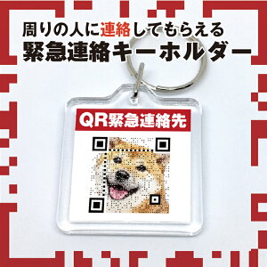 y ꖳzً}AL[z_[ QRR[h  h   qǂ  SObY y` AN a4cmz ylR|Xz