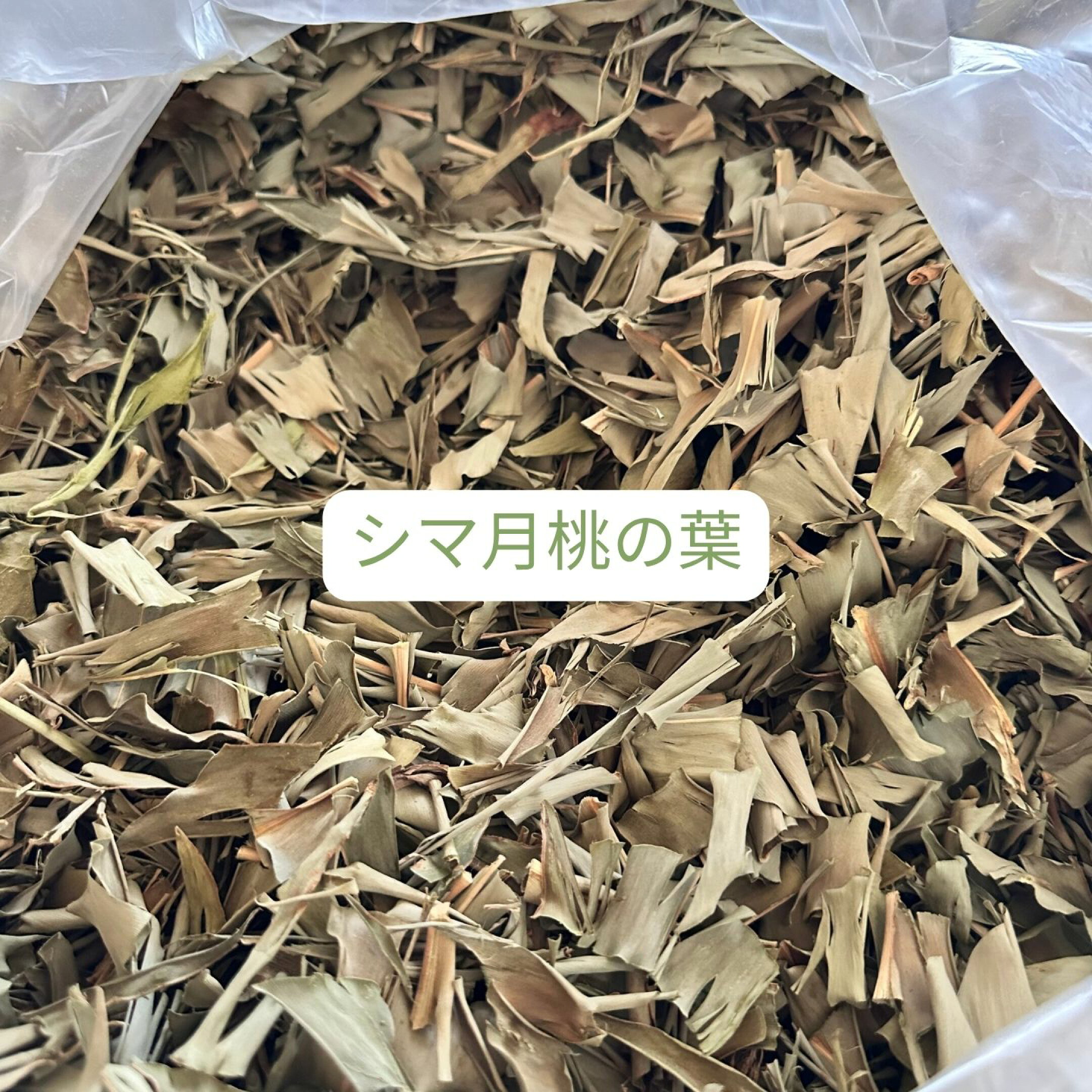シマ月桃の葉。乾燥してます。香りも無いです。