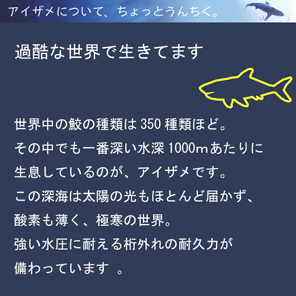 楽天市場】深海の雫 180粒 60日分 沖縄産アイザメ（深海鮫）100