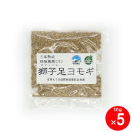 3年熟成 獅子足ヨモギ 10g×5 よもぎ 蒸し5回分 韓国 江華島産 座浴剤 本格サロン用 薬よもぎ100％ 残留…