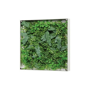 EH[O[ GR3304 yLZszΉAIuWFAA[gAA}bgAi`Ar[AGgXAEH[AA[g