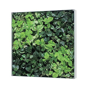 �E�H�[���O���[�� GR3116 �y�L�����Z���s�z