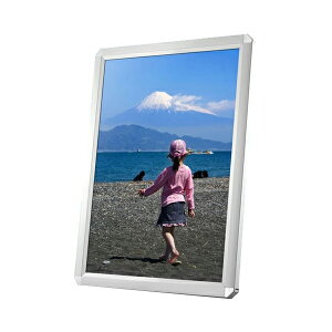 A3 VE-1c 額縁タイプのポスターフレーム 豊富なサイズ 要法人名  (選べるフレームカラー)