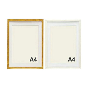 pt[ VEWEA4 JK450  Ǌ| XCh ^e R@ (IׂJ[)