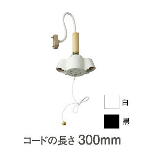 2ؕt PT-2030WPT-2030B v@l@y_gp 2\Pbg yLZsz@ (IׂJ[)