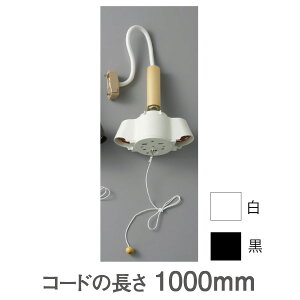 2���ؕ��t PT-2100W��PT-2100B �v�@�l���@�y���_���g�p���� 2���\�P�b�g �y�L�����Z���s�z�@ (�I�ׂ�J���[)