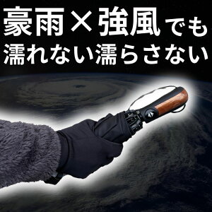 �yNIG�����z�t�܂肽���ݎP NURASAN-W �k���T�� �����^�b�` �����J�� �r�W�l�X �ʋ� �v���[���g ���蕨 �M�t�g�b���̓� ���̓��M�t�g2026