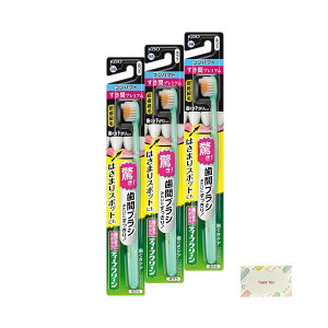 ԉ fB[vN[nuV ԃv~A RpNg ӂ 3Zbg + KunutonnIWiSe ܂t