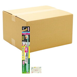 ԉ fB[vN[nuV ԃv~A RpNg 炩 12Zbg + KunutonnIWiSe ܂t