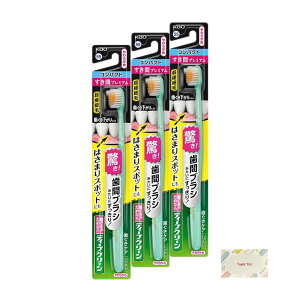 ԉ fB[vN[nuV ԃv~A RpNg 炩 3Zbg + KunutonnIWiSe ܂t