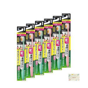 ԉ fB[vN[nuV ԃv~A RpNgCh ӂ 6Zbg + KunutonnIWiSe ܂t