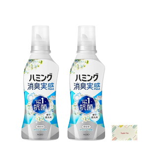 ԉ n~OL_ zCg\[v̍ { 510ml + KunutonnIWiSe ܂t