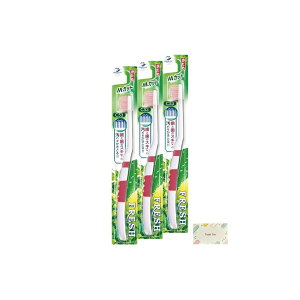 f^v tbVnuV3 MJbg  3Zbg + KunutonnIWiSe ܂t