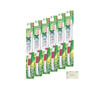 f^v tbVnuV3 MJbg  6Zbg + KunutonnIWiSe ܂t