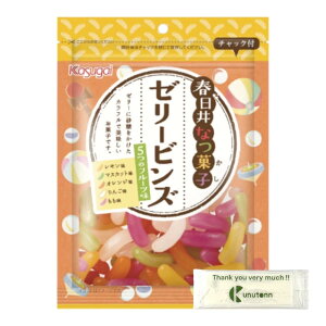 t䐻 [[rY 101g + KunutonnIWiSe܂t 24܃Zbg